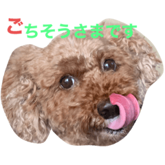 vivian_20200511232718