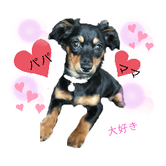 yun_20200512003017
