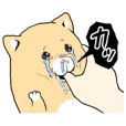 Crying cat Ki-chan's animation