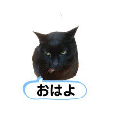 kurumi_20200511211928