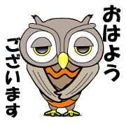 Contact innocent Owl