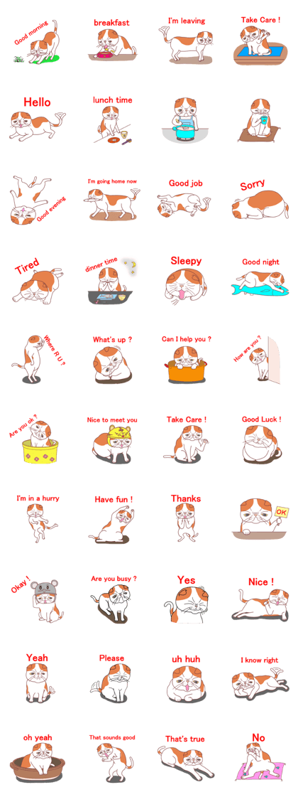 Lovely ugly cat English version