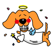 The daily routine of dachshund Taro The daily routine of dachshund Taro