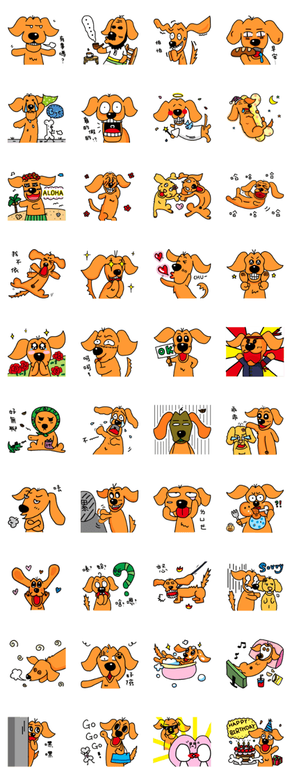 The daily routine of dachshund Taro The daily routine of dachshund Taro