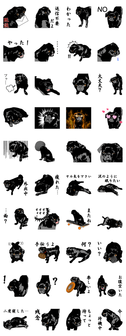 black pug Stickers
