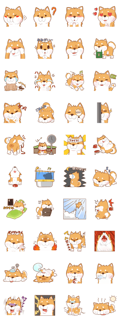 Momo, the Shiba (JP) Momo, the Shiba (JP)