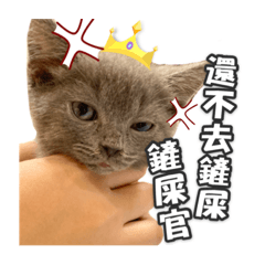 那狗那貓那兔那鼠