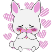 A Rabbit's Day-to-Day Life