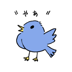 happy Blue bird 2020