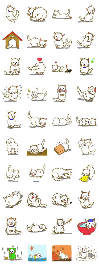 Dog pochi of the northern country