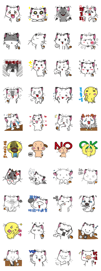 Calico cat don't talk