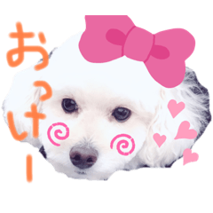 MIZUKI_2020milkmemories