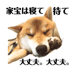 ポジティブ タロー 豆太 Line スタンプ Line Store