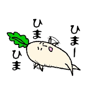 Day-to-day radish Day-to-day radish