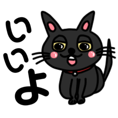 BLACK CAT Muuchi standard