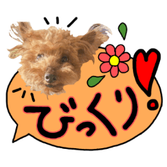 Pet dog aisuke & rabbit stickers