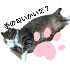 kazumi_20200512100441