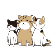 Three stray cats
