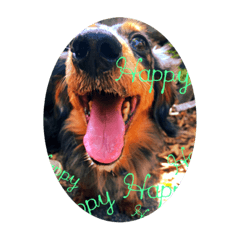 yamada_20200512013440