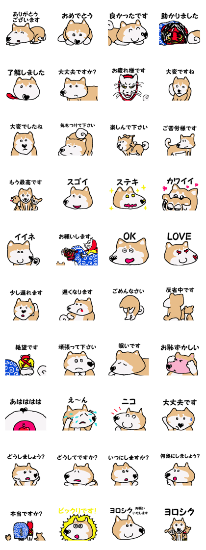 Shiba inu MOMO chan the third as well! 3