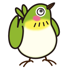 Bird Japanese White-eye