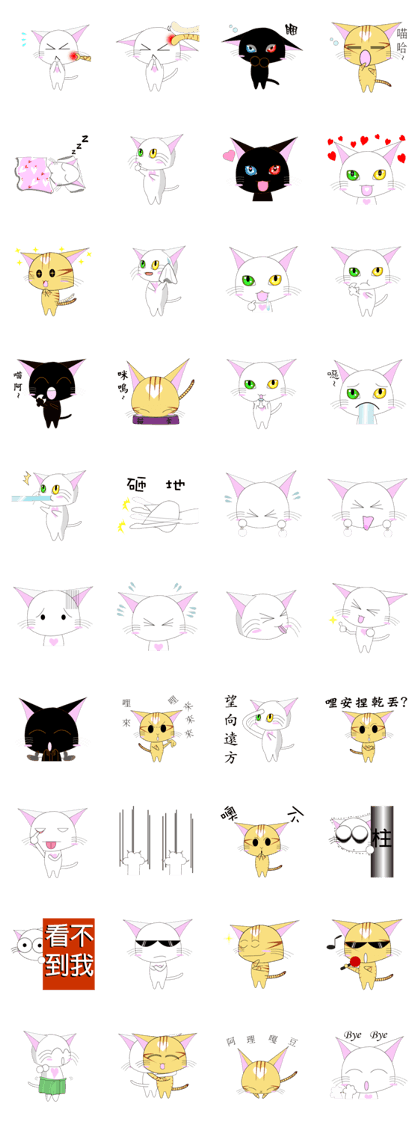 White Cat With Black Cat 2 White Cat With Black Cat 2