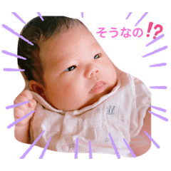 stamp hinachan 1st