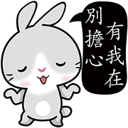 Grey Bunny Grey Bunny