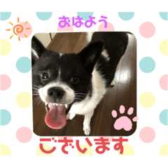 Sherry_20200512111433