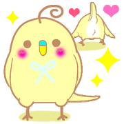 Small cute little bird coo.English