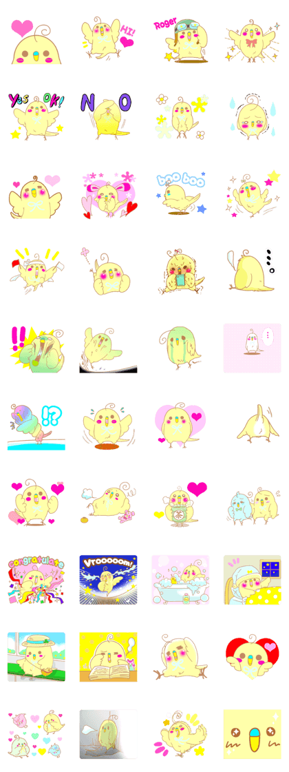 Small cute little bird coo.English