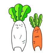 japanese radish and carrot