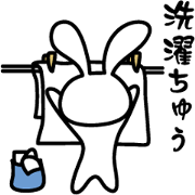 While a rabbit is doing something.