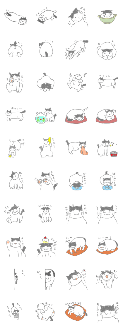 A cute world out of cat