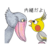 Day-to-day Cockatiel Part 2