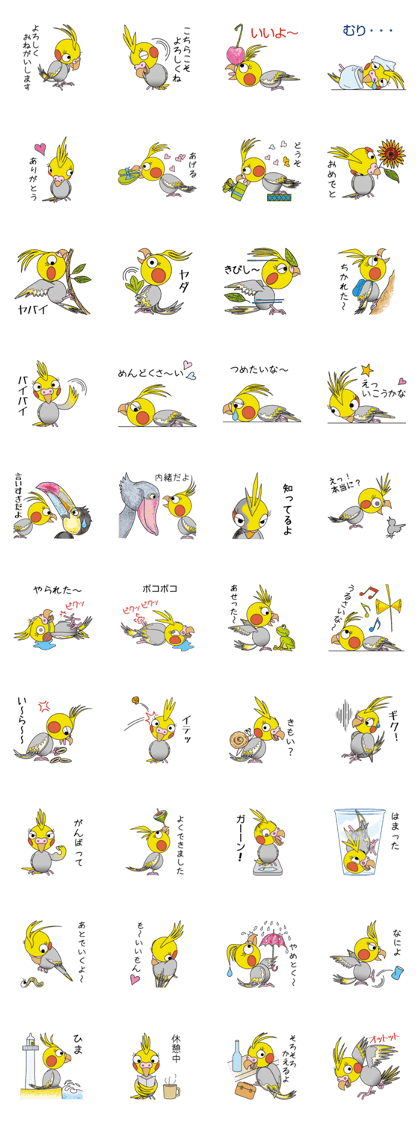 Day-to-day Cockatiel Part 2