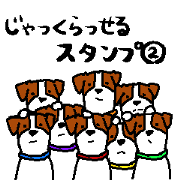 Jack Russell Terrier2 Jack Russell Terrier2