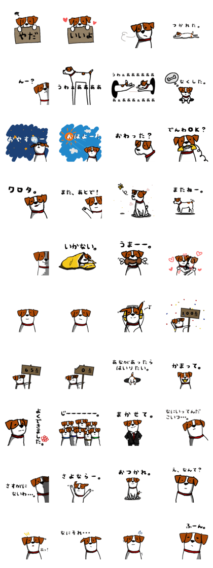 Jack Russell Terrier2 Jack Russell Terrier2