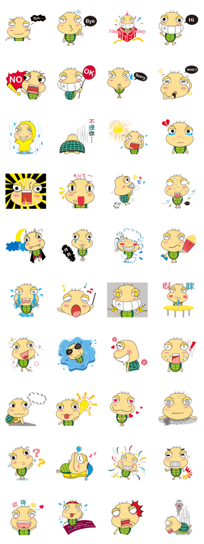 Pretty cute tortoise