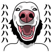 My Neighbor Busakawa My Neighbor Busakawa