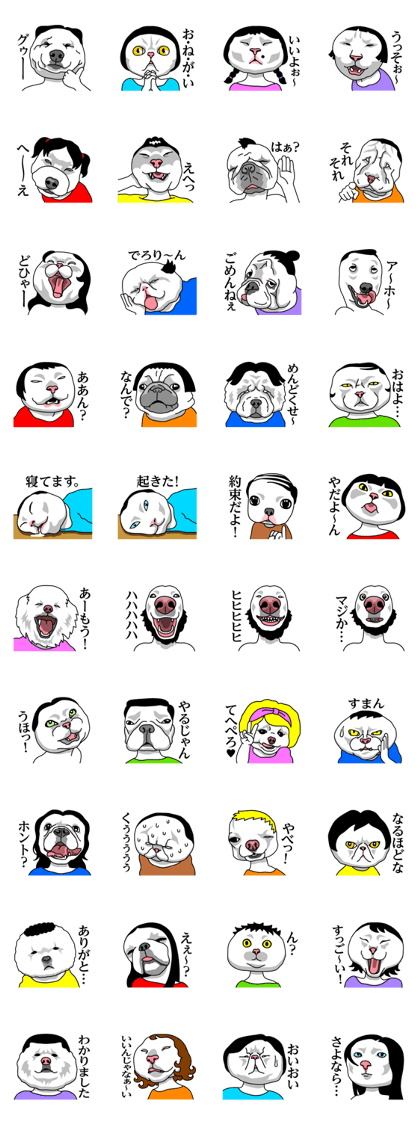 My Neighbor Busakawa My Neighbor Busakawa