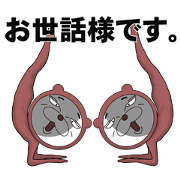 A bear in a leotard makes you happy. A bear in a leotard makes you happy.