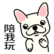 Cute French Bulldog 1 Cute French Bulldog 1