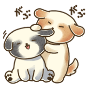 Daily conversation of Shih Tzu