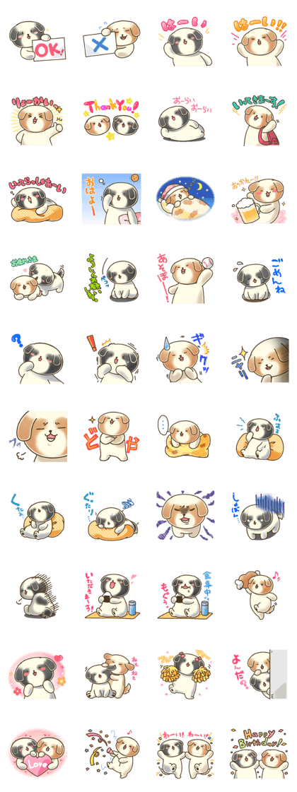 Daily conversation of Shih Tzu