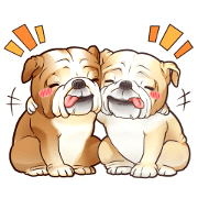 BULLBULLBULLCHANS! BULLBULLBULLCHANS!