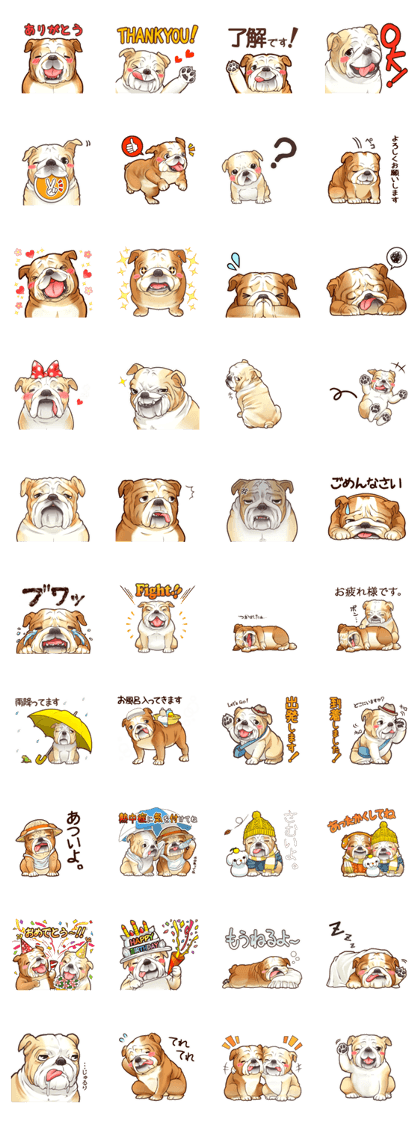 BULLBULLBULLCHANS! BULLBULLBULLCHANS!