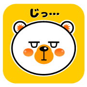 Face of the Polar Bear