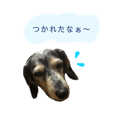 hana_20200512200351
