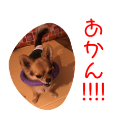 kazuki_20200512203011